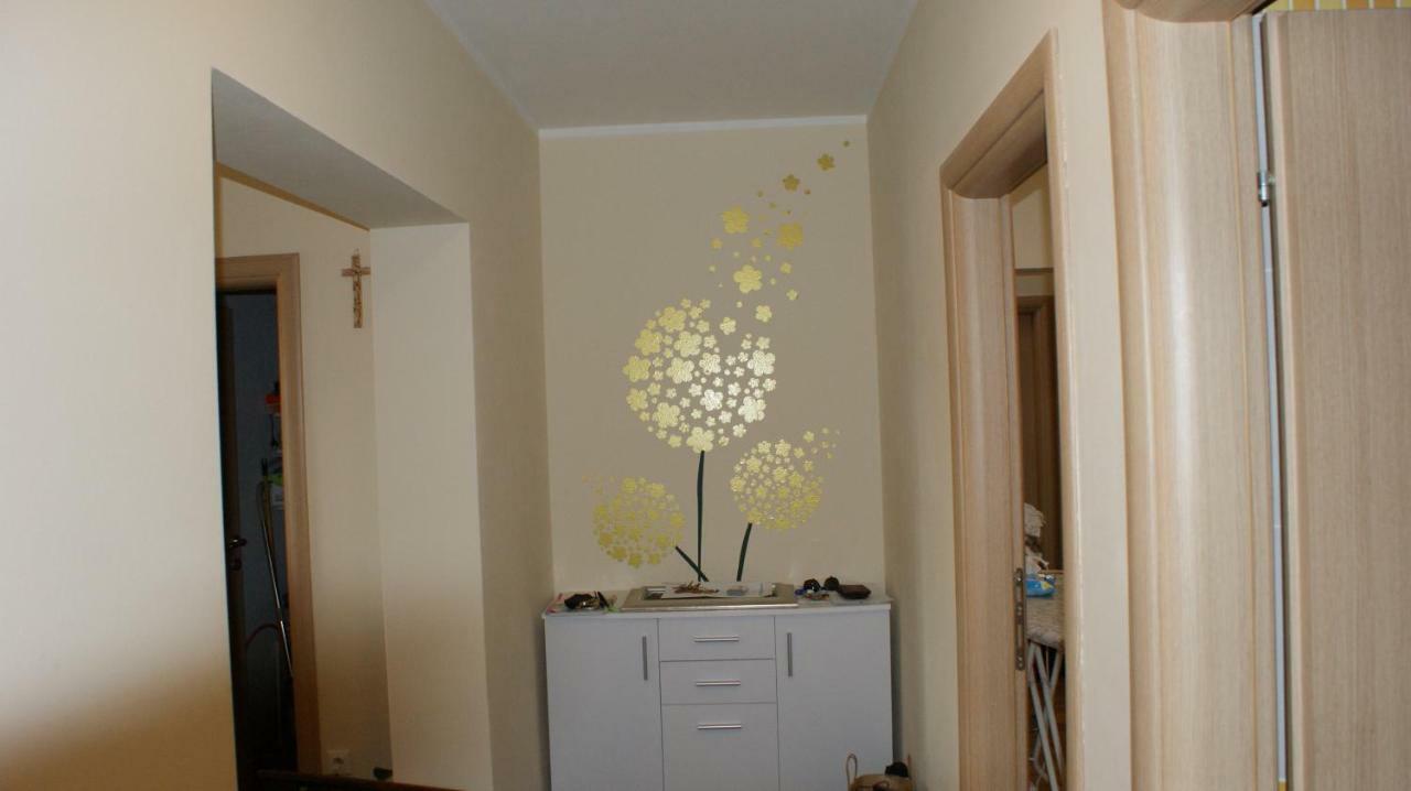 Apartment Anamaria 希贝尼克 外观 照片